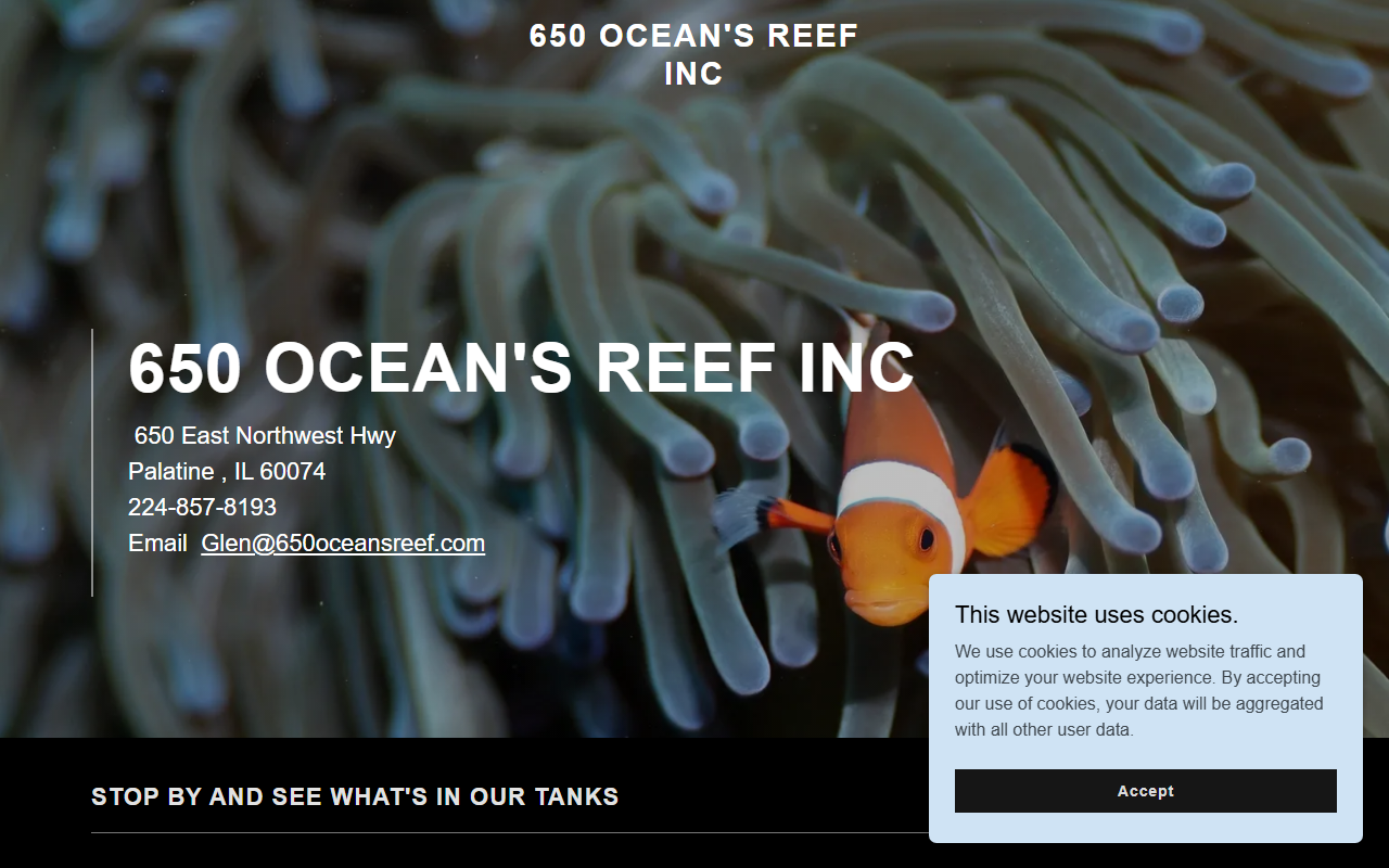 650oceansreef.com screenshot