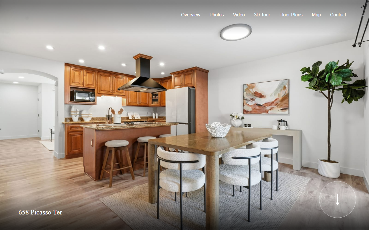 658picasso.com screenshot