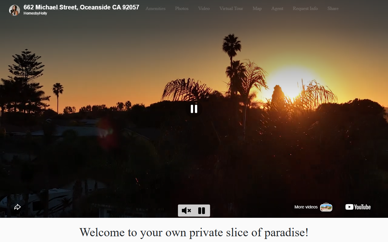 662michaelstreet.com screenshot