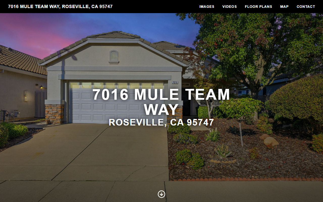 7016muleteamway.com screenshot