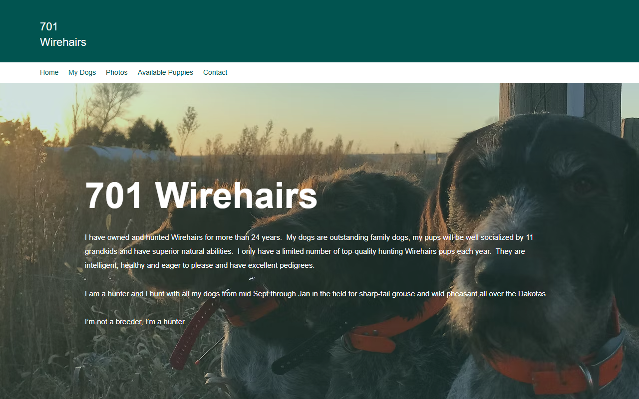 701wirehairs.com screenshot