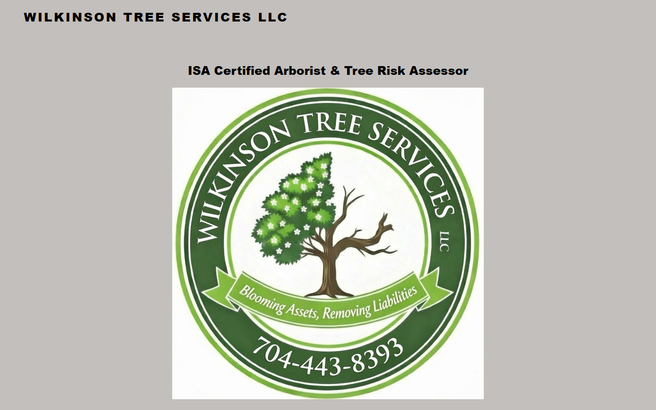 704treeservices.com screenshot
