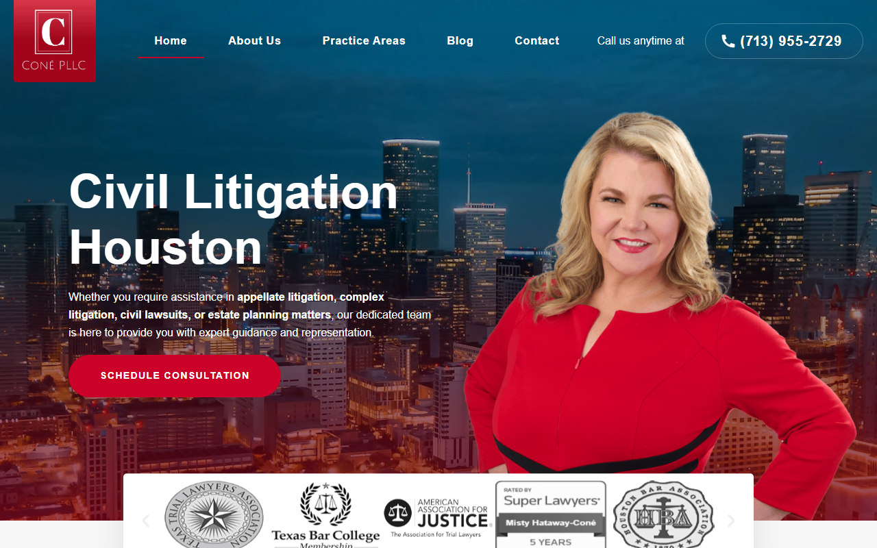 713litigation.com screenshot