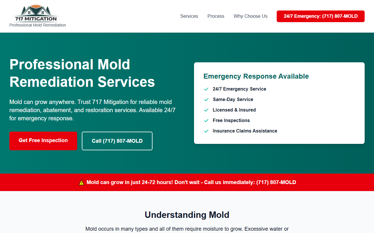 717mitigation.com screenshot
