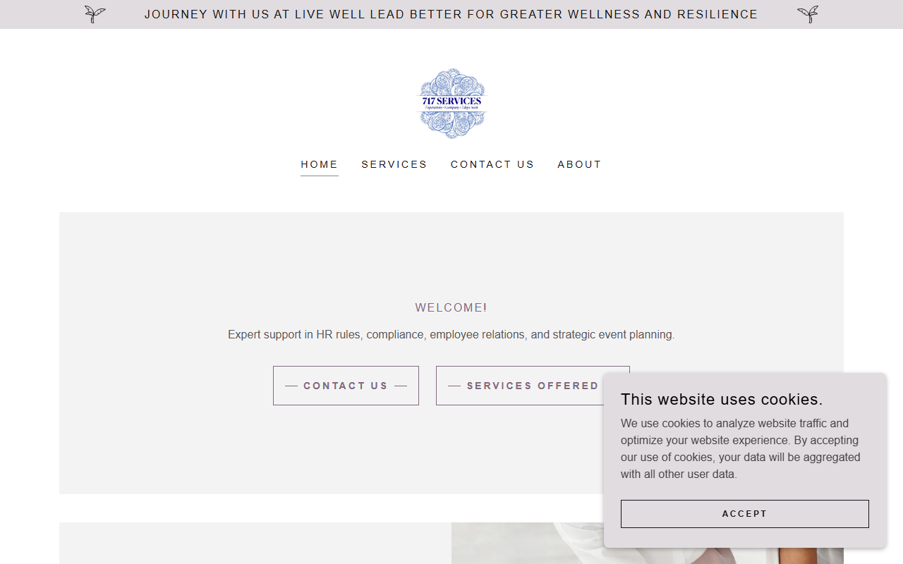 717services.com screenshot