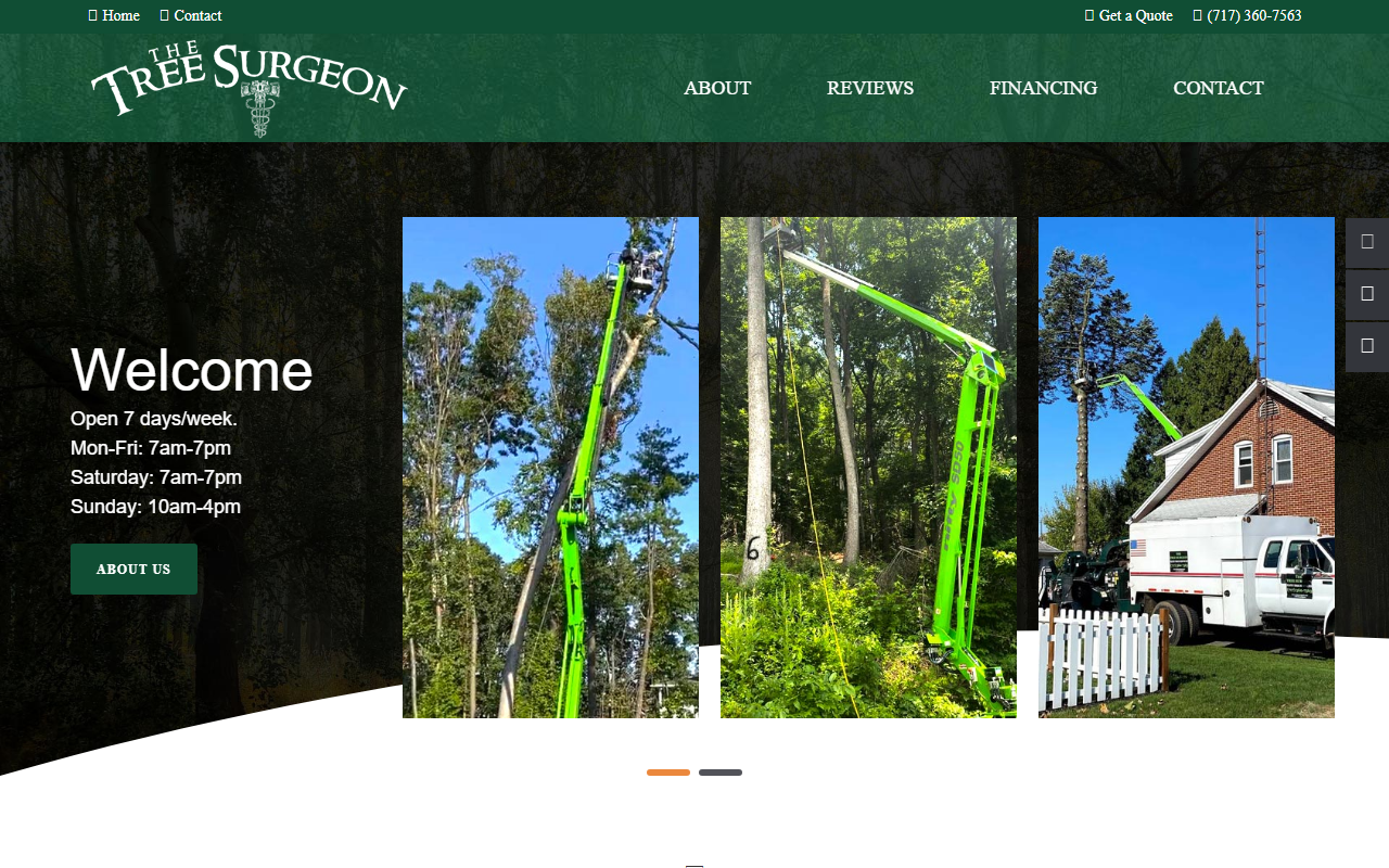 717treesurgeon.com screenshot