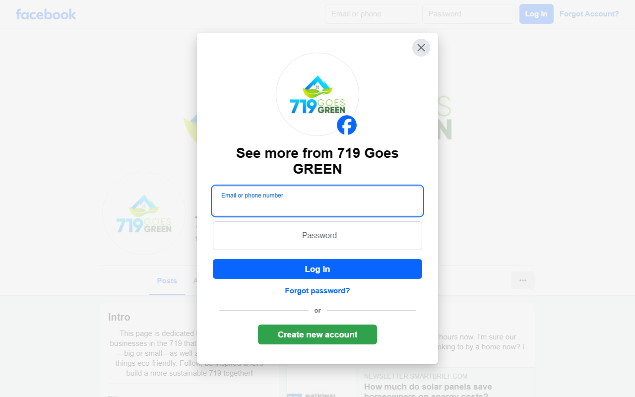 719goesgreen.com screenshot
