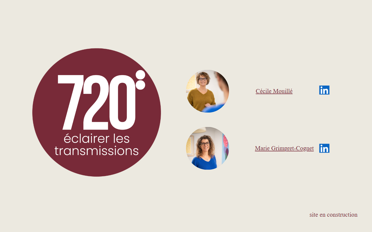 720conseil.com screenshot