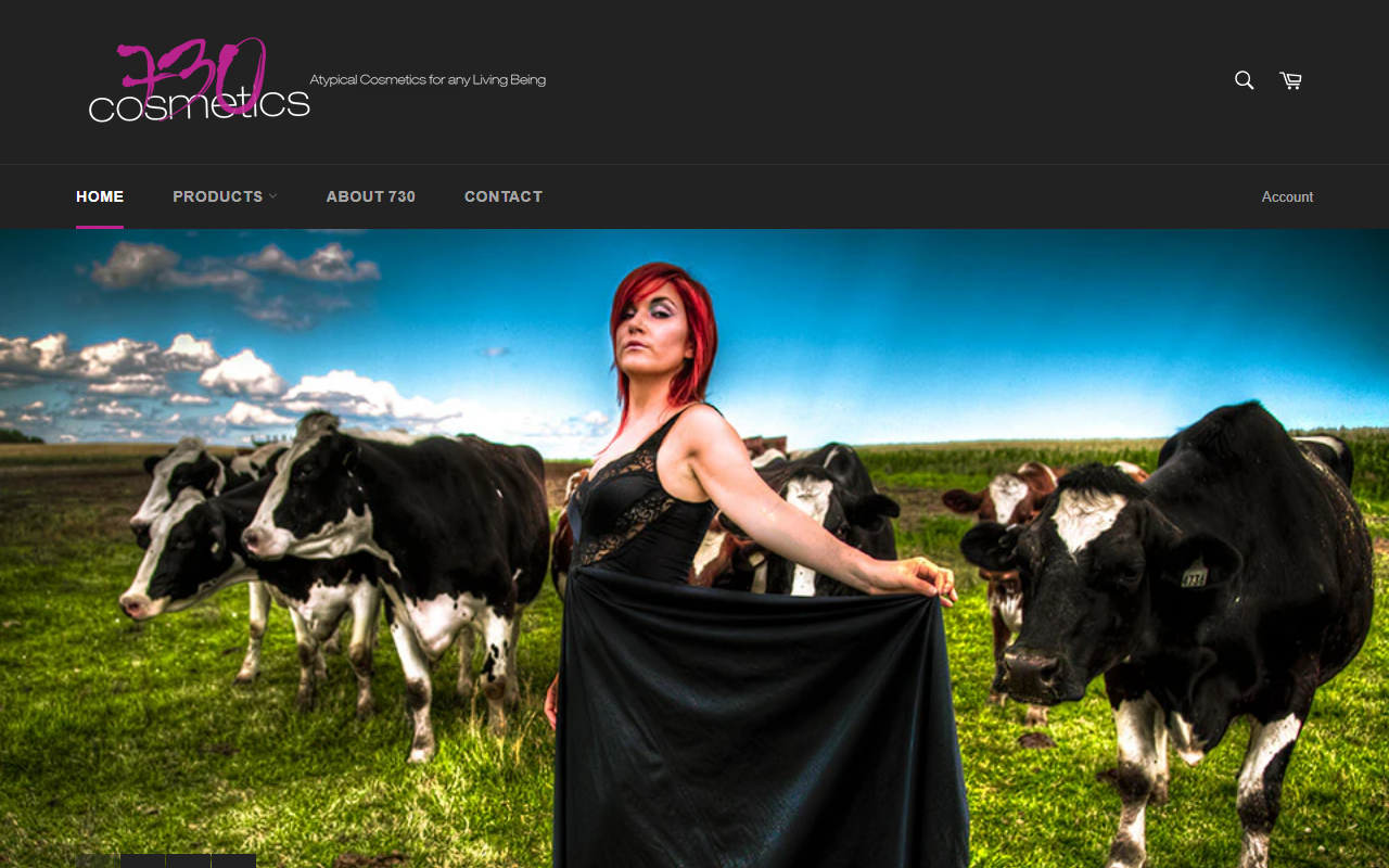 730cosmetics.com screenshot