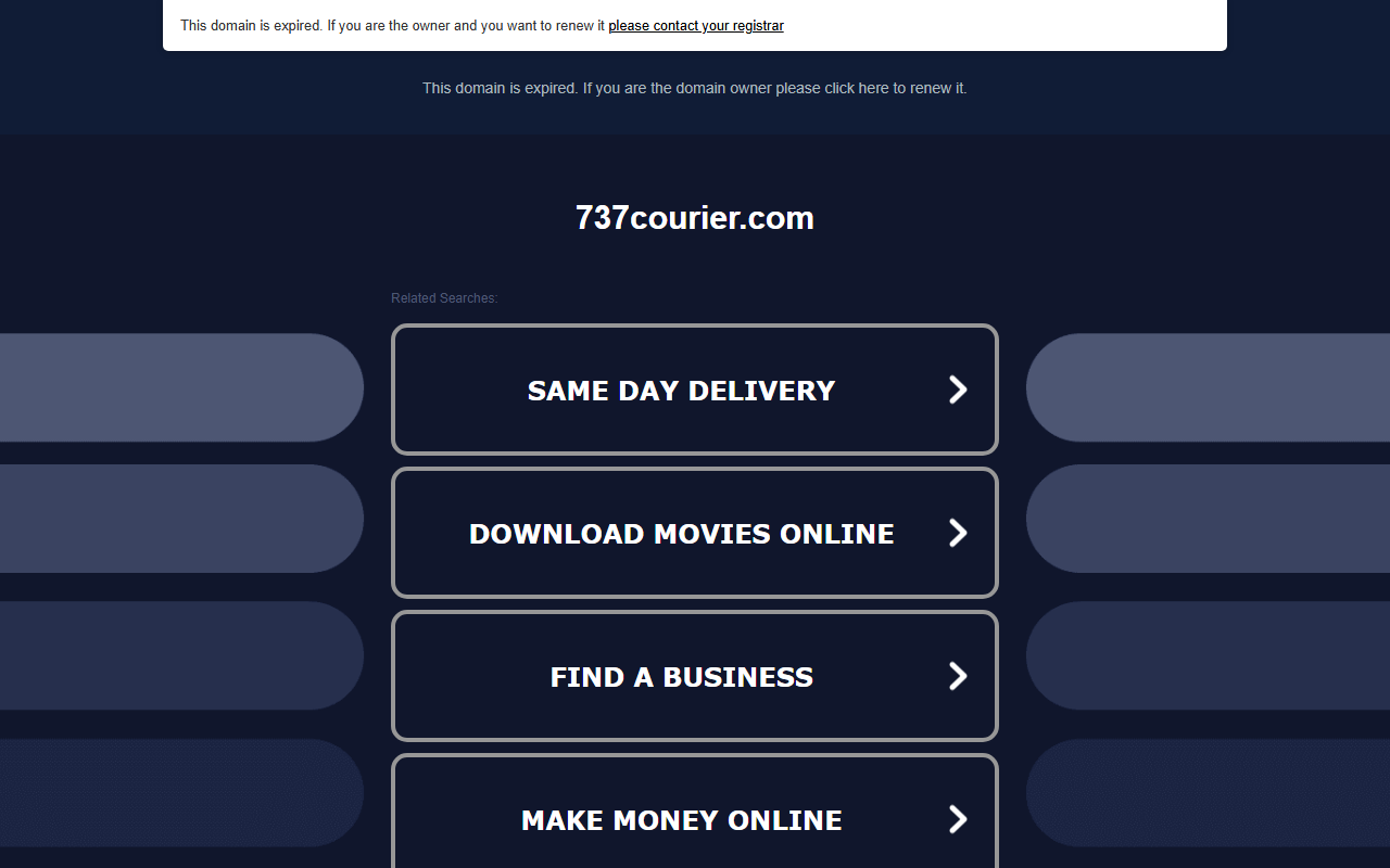 737courier.com screenshot