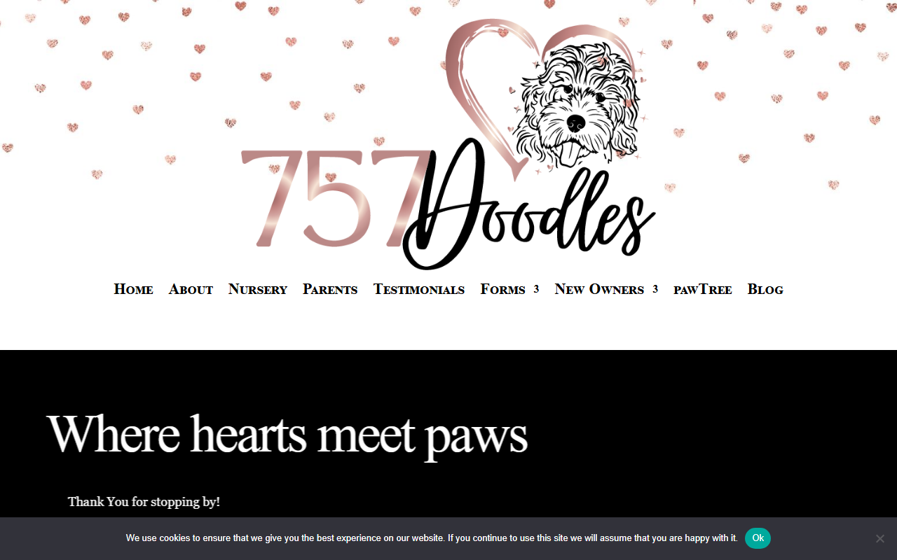 757-doodles.com screenshot