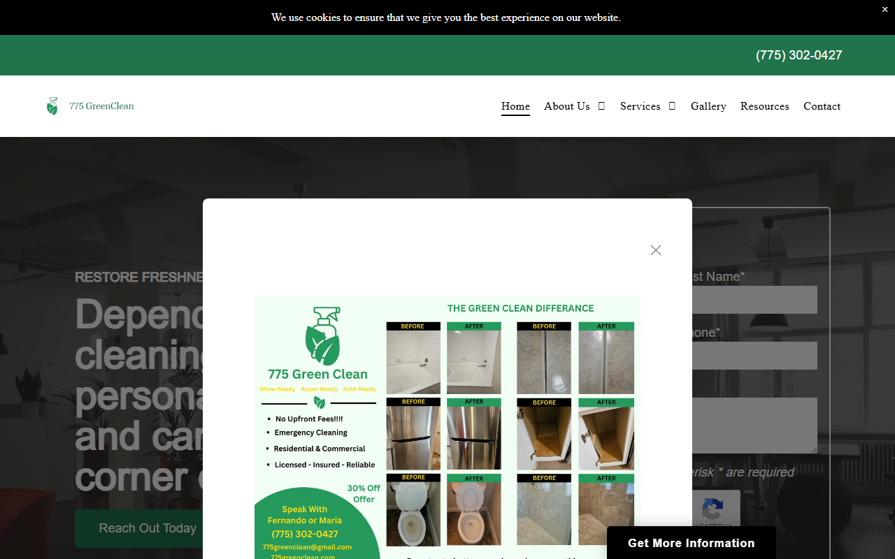 775greenclean.com screenshot