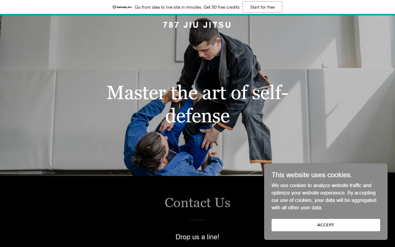 787jiujitsu.com screenshot