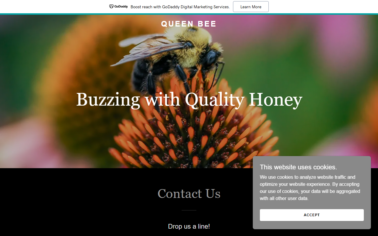787queenbee.com screenshot