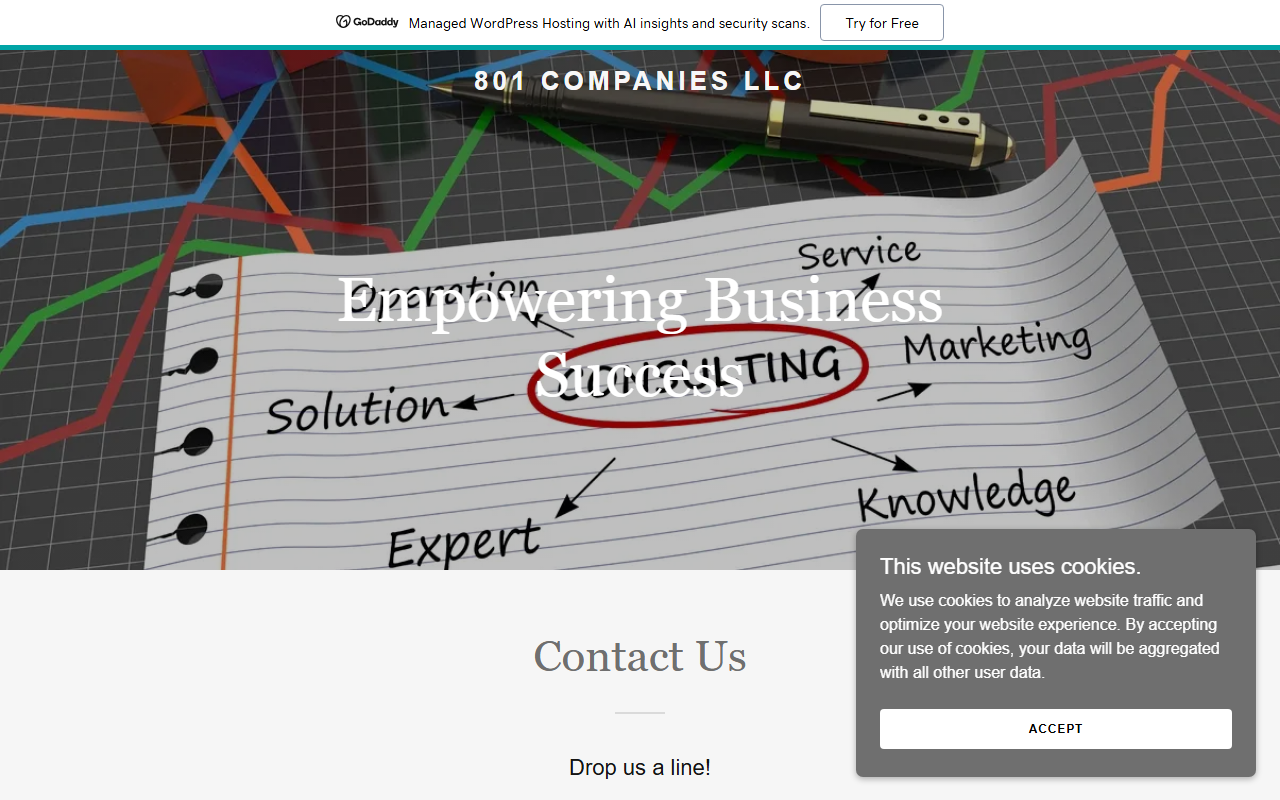 801companies.com screenshot