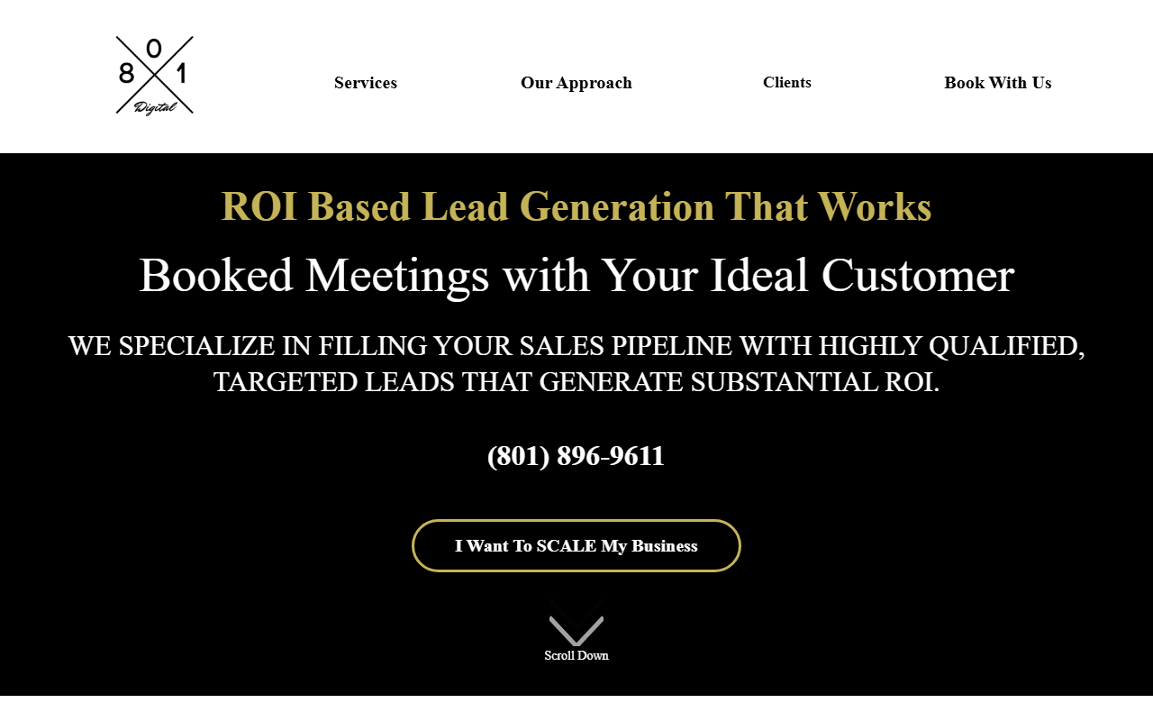 801digital.com screenshot