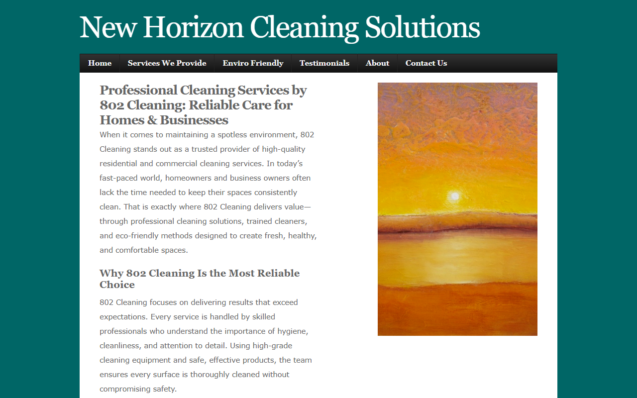 802cleaning.com screenshot
