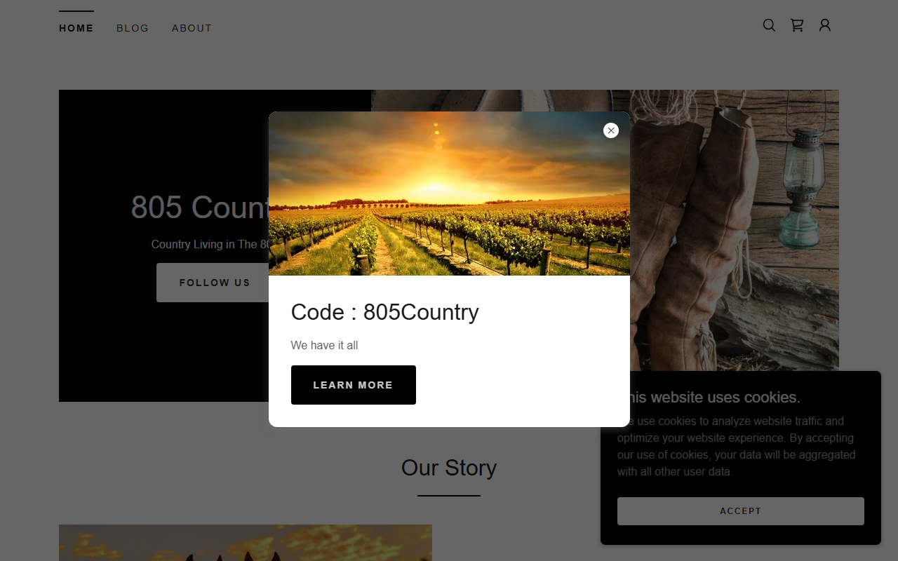 805country.com screenshot