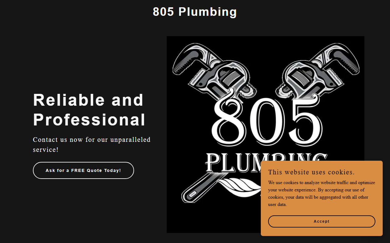 805plumbers.com screenshot