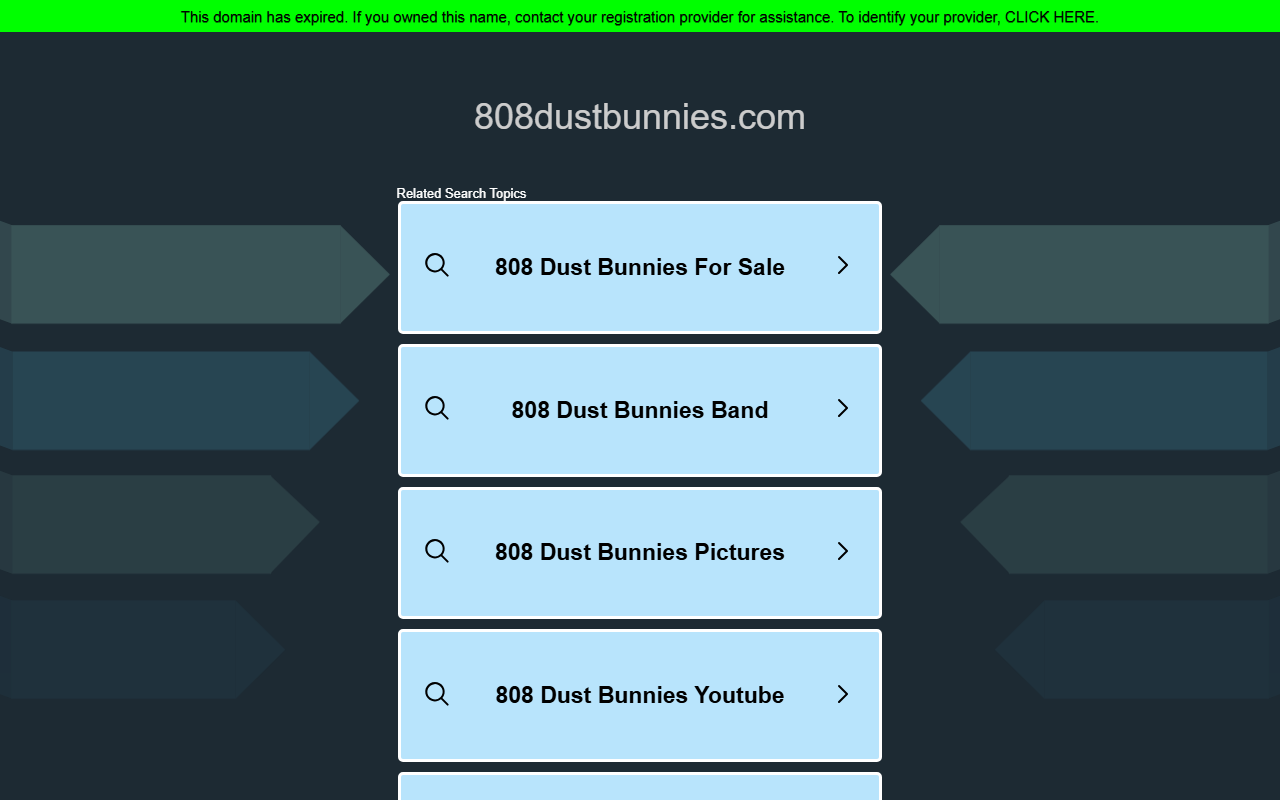 808dustbunnies.com screenshot