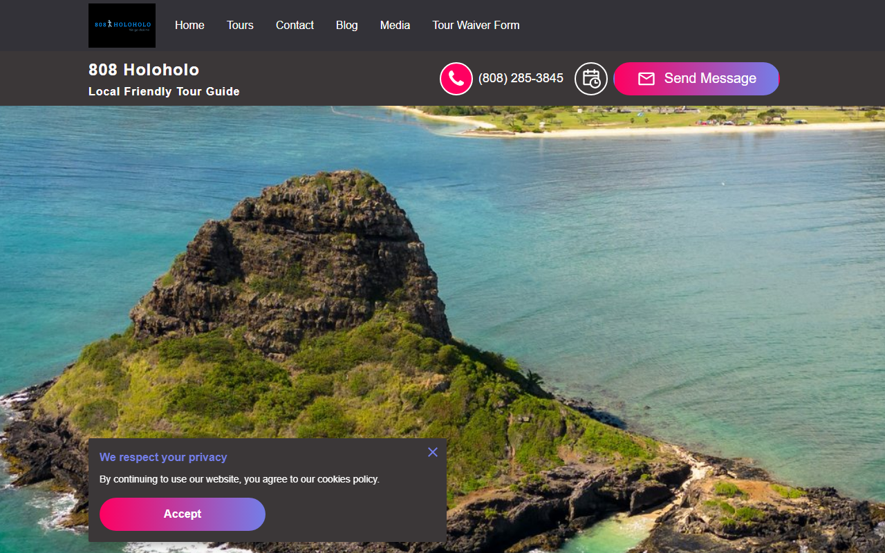 808holoholo.com screenshot