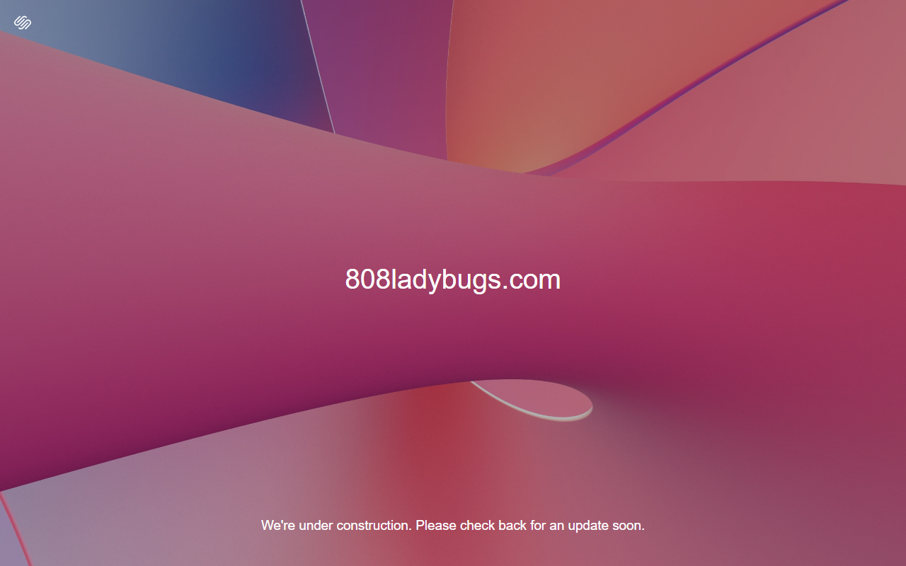 808ladybugs.com screenshot