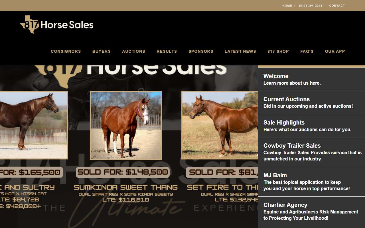 817horsesales.com screenshot