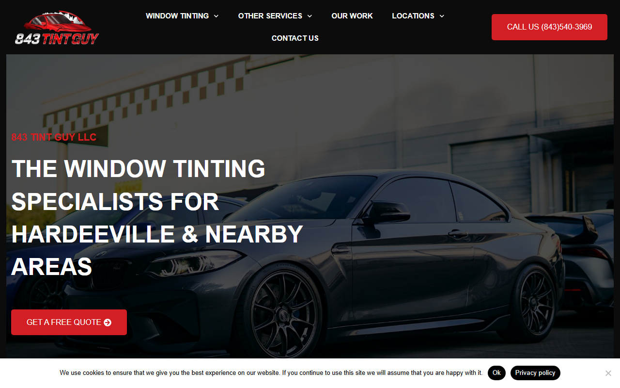 843tintguy.com screenshot