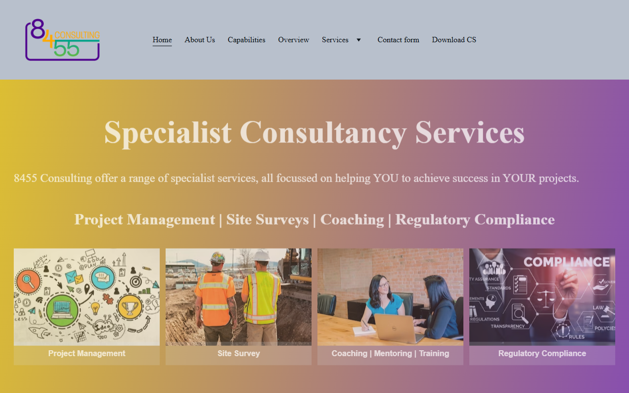 8455consulting.com screenshot