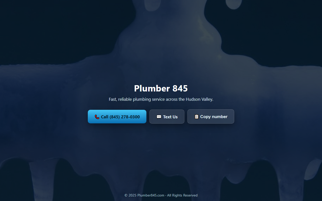 845plumber.com screenshot