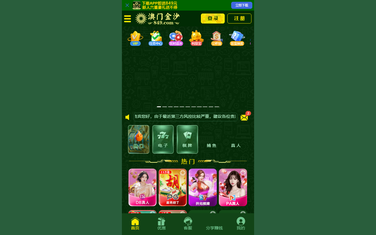 84956669js.com screenshot