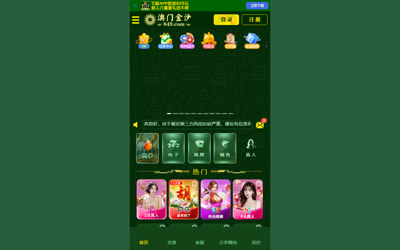 84966689js.com screenshot
