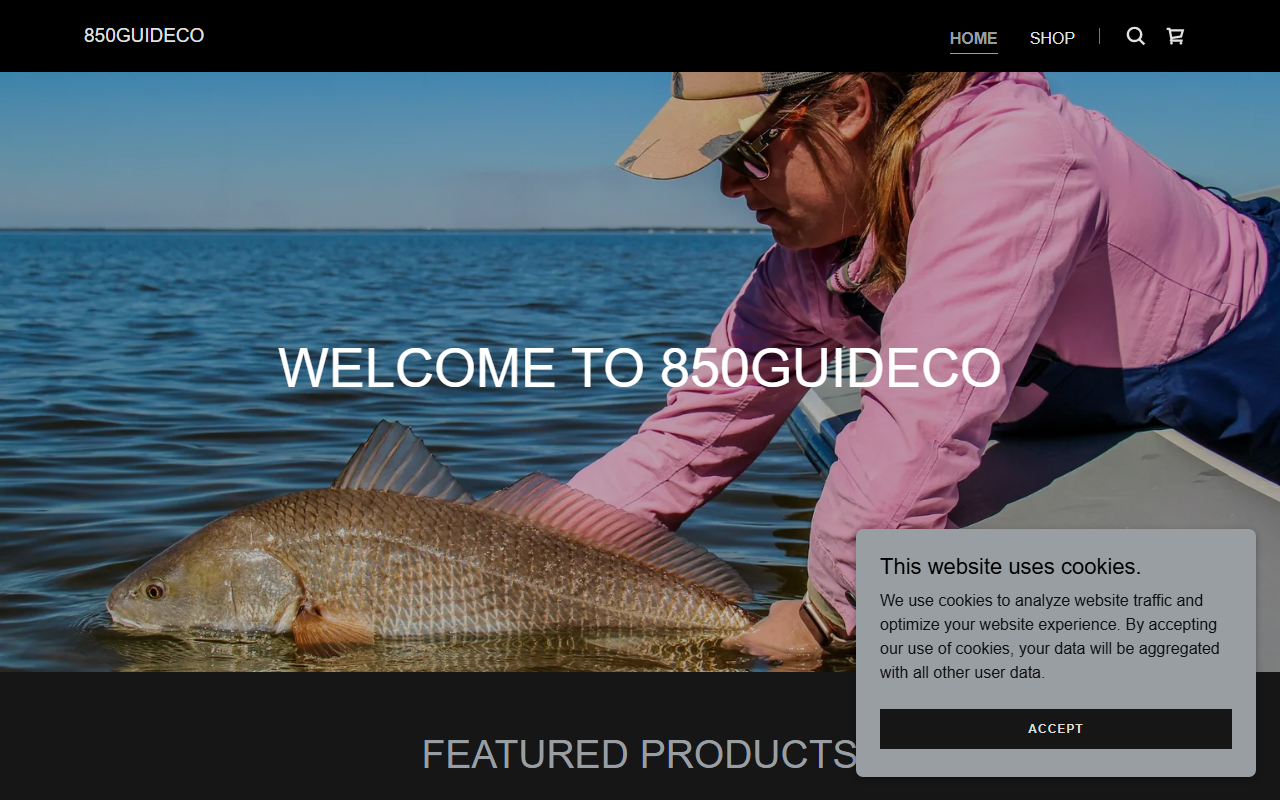 850guideco.com screenshot