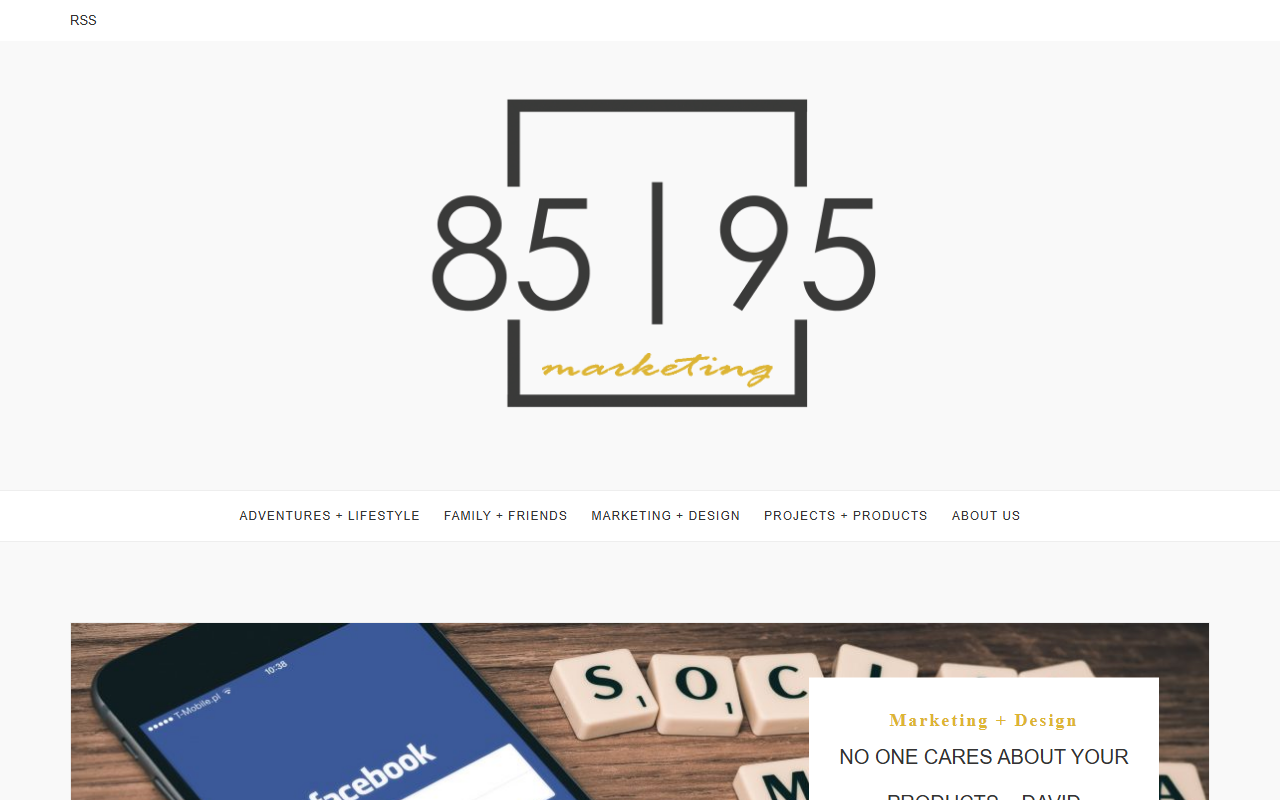 8595marketing.com screenshot