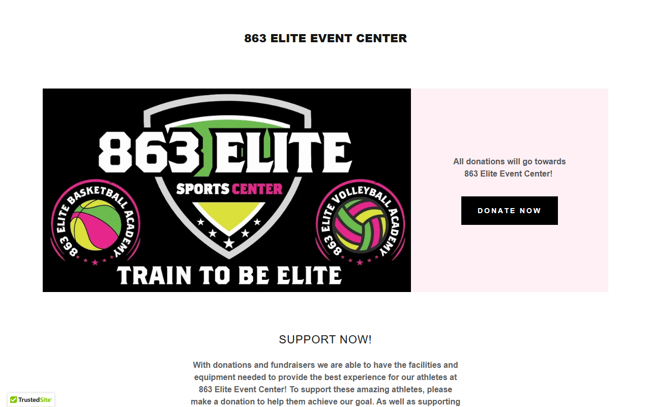 863elitesports.com screenshot