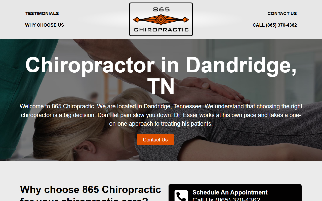 865chiropractic.com screenshot