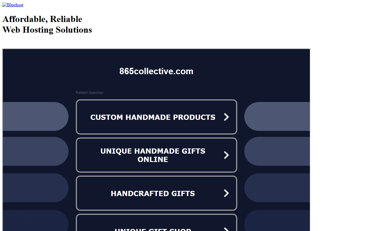 865collective.com screenshot