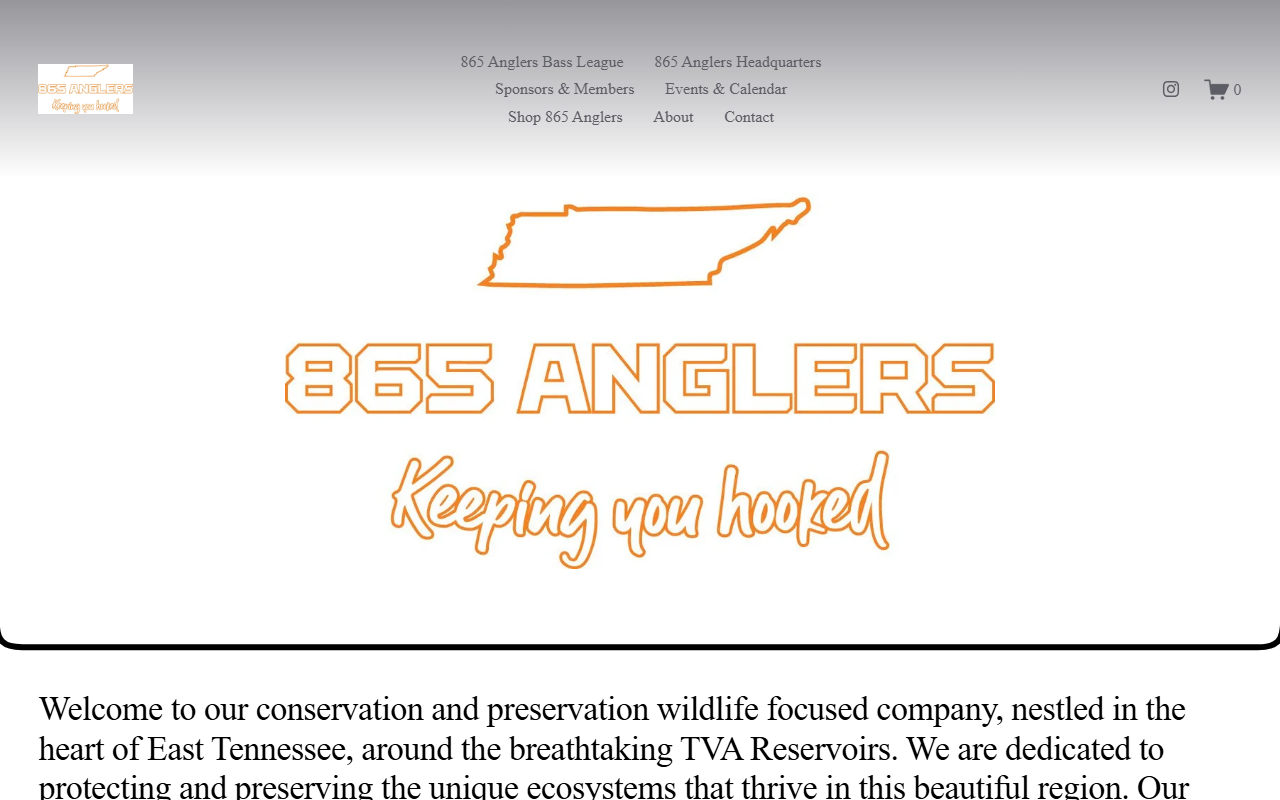 865productions.com screenshot