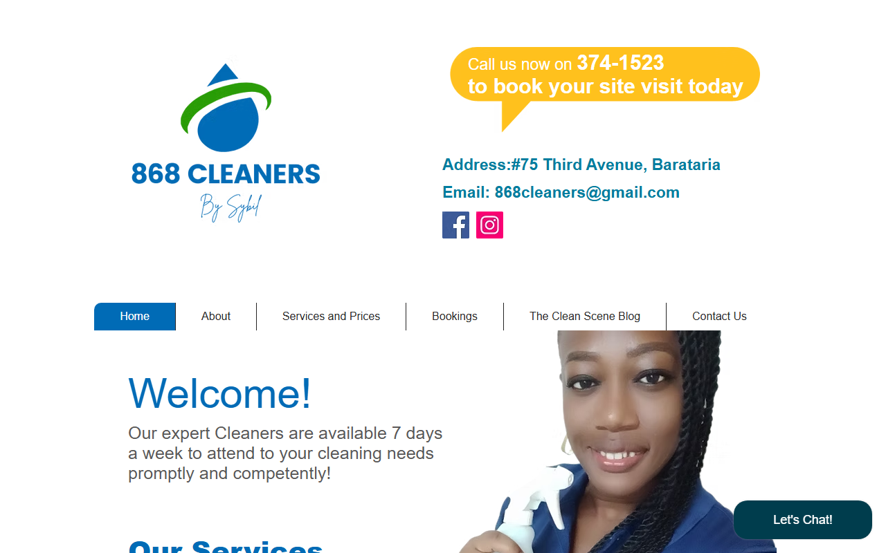 868cleaners.com screenshot
