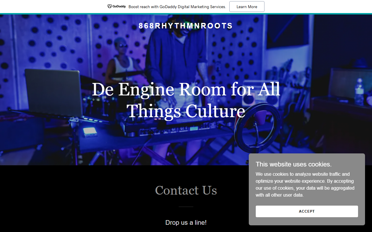 868rhythmnroots.com screenshot