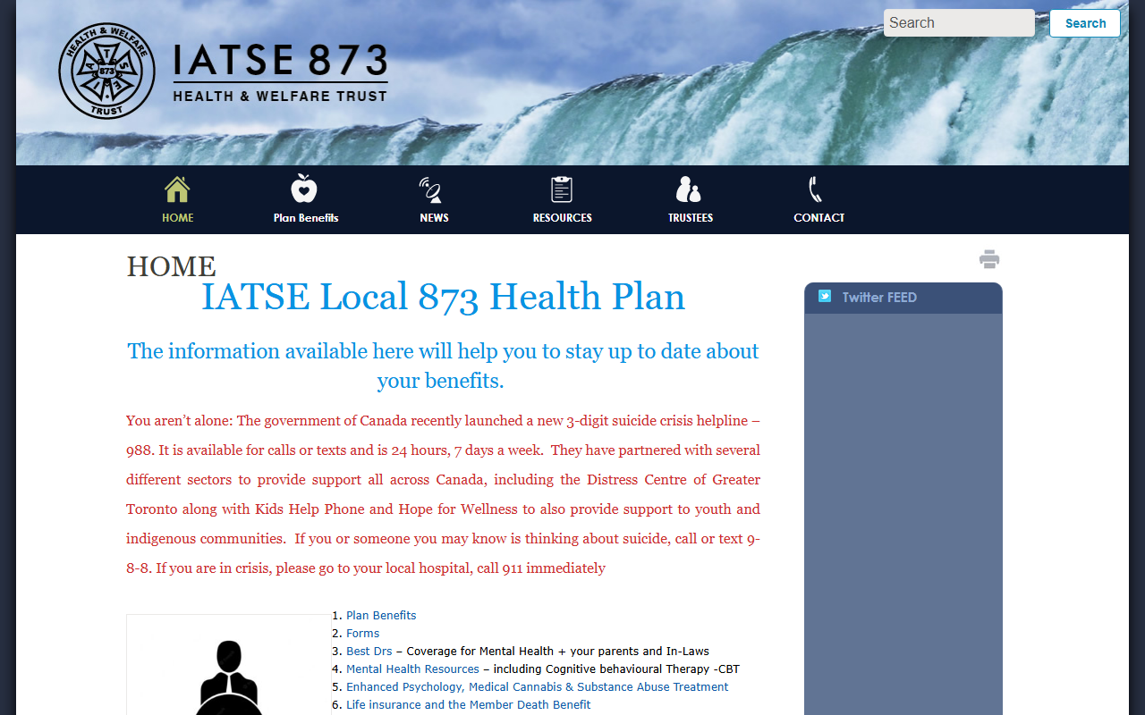 873healthplan.com screenshot
