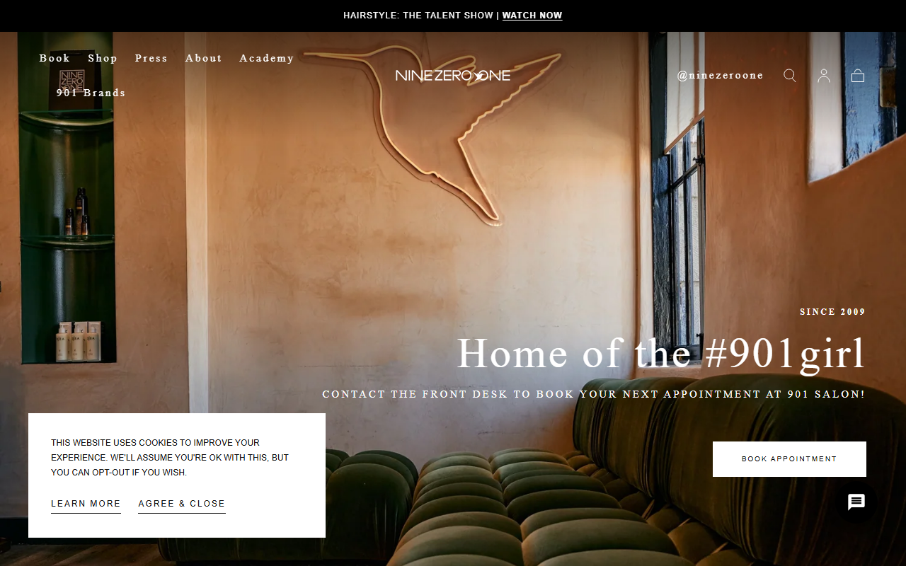 901academy.com screenshot