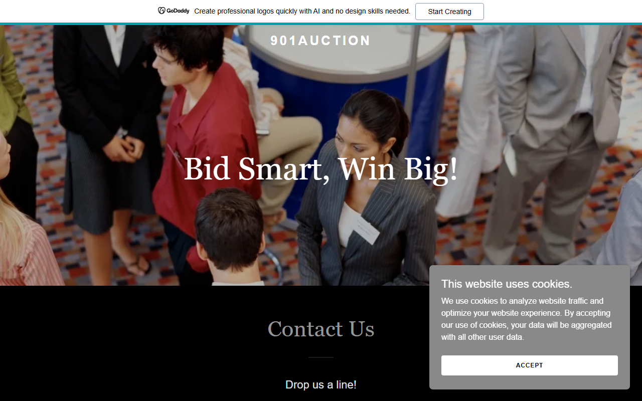 901auction.com screenshot