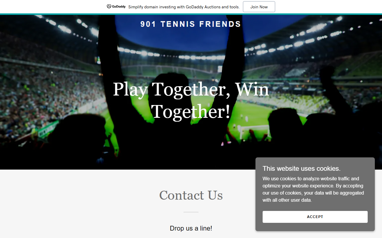 901tennisfriends.com screenshot