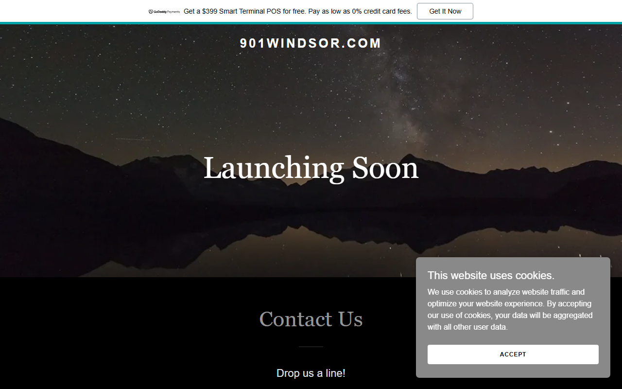 901windsor.com screenshot