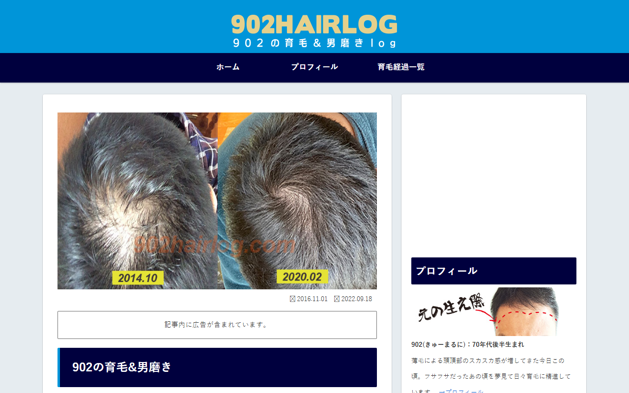 902hairlog.com screenshot