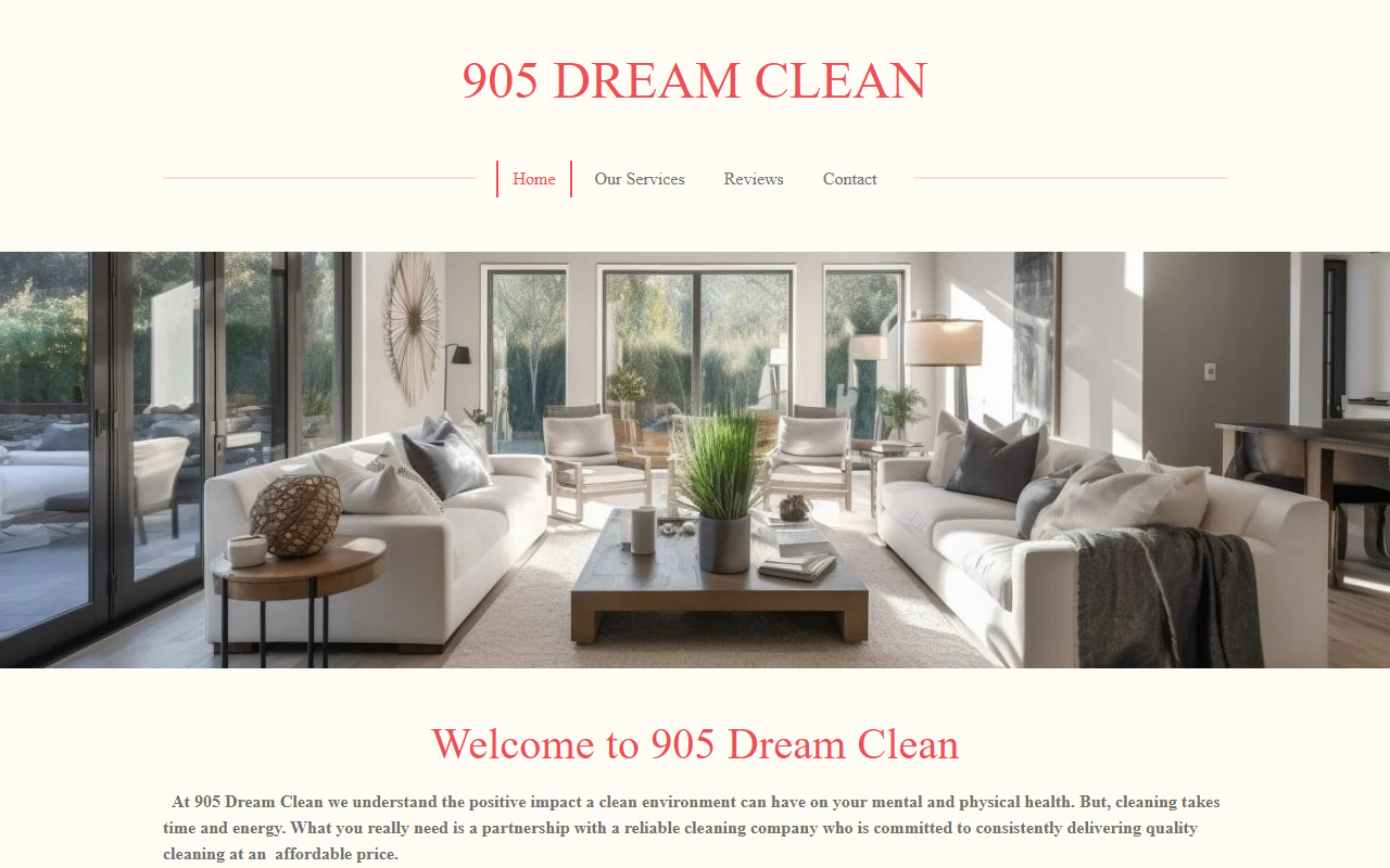 905dreamclean.com screenshot