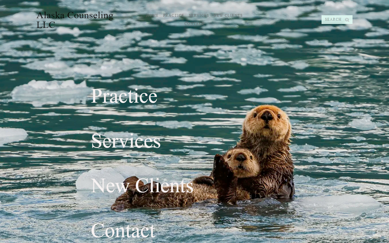 907counseling.com screenshot