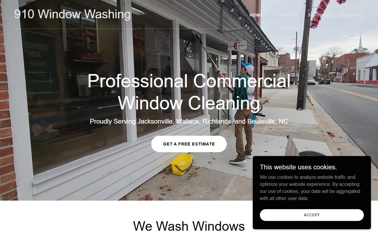 910windowwashing.com screenshot