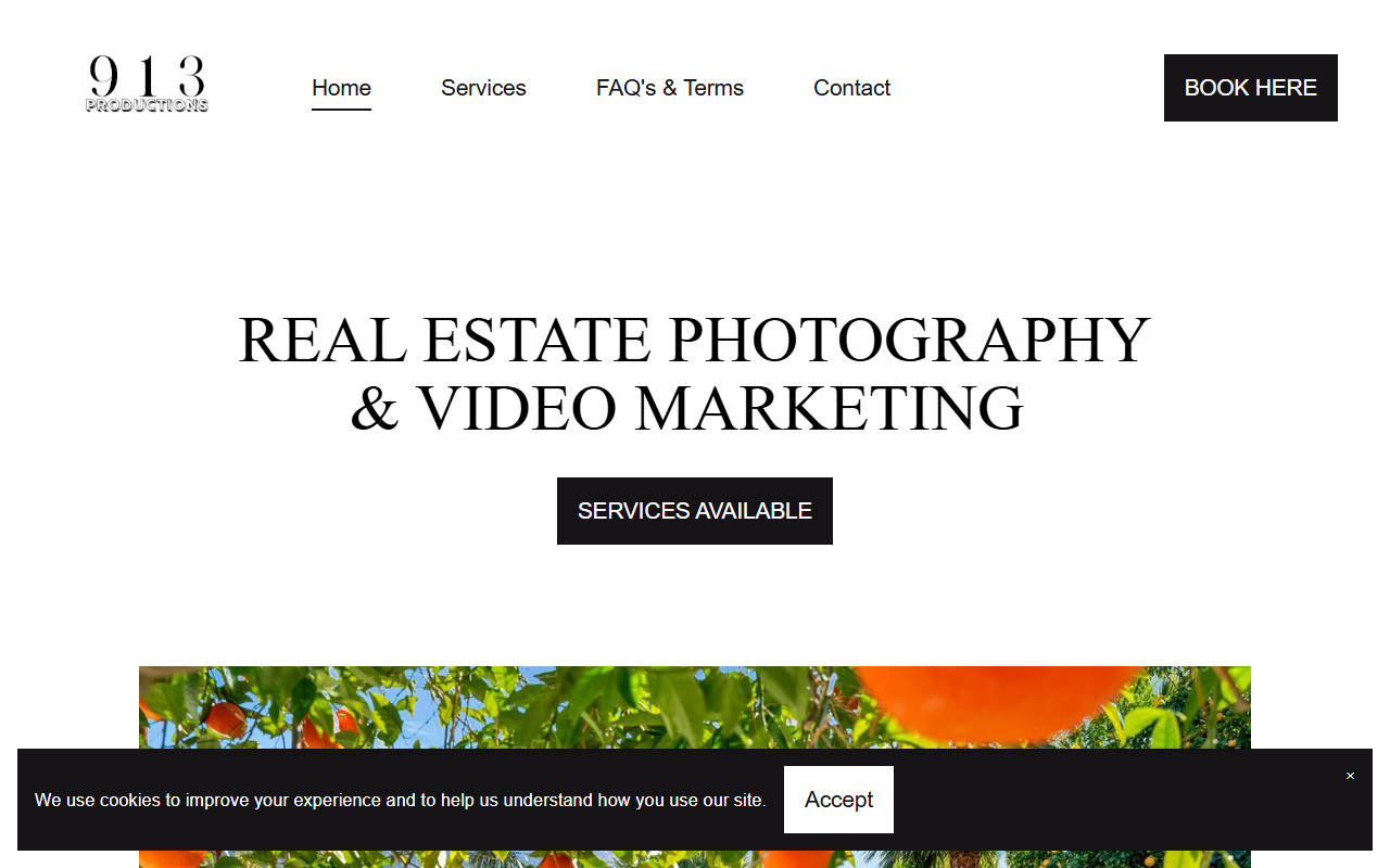 913productions.com screenshot